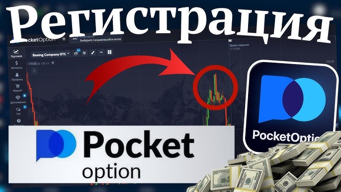 A Comprehensive Guide to Pocket Option Site