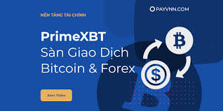 Crypto Trading on PrimeXBT Your Ultimate Guide to Success